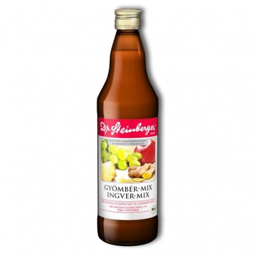 Dr. Steinberger Ingwer-Mix (Bio) - 750 ml